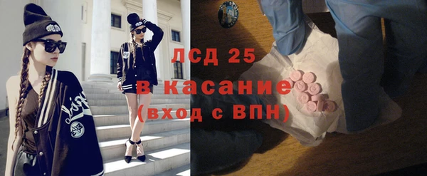 дживик Бронницы