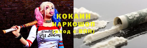 дживик Бронницы