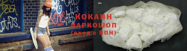 дмт Богданович