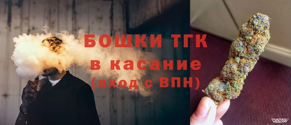 МДПВ Бородино