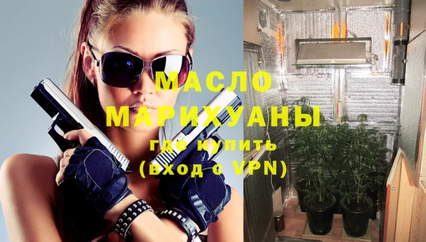 дживик Бронницы
