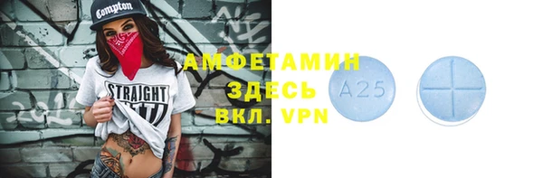 МДПВ Бородино