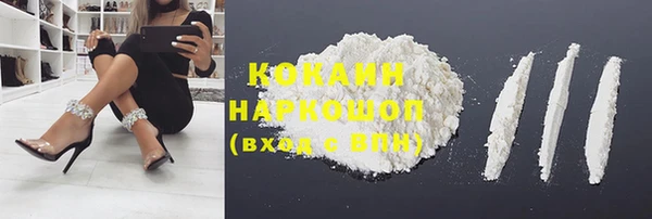 дживик Бронницы