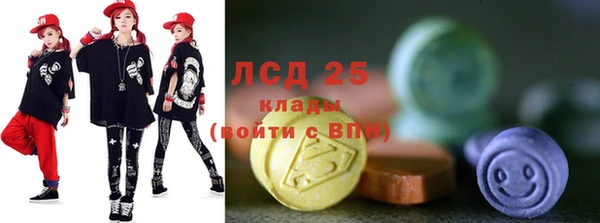 МДПВ Бородино