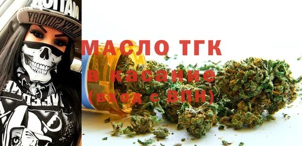 МДПВ Бородино