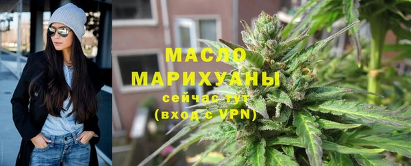 МДПВ Бородино
