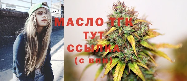 дживик Бронницы