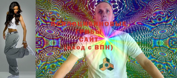 дживик Бронницы