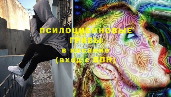 МДПВ Бородино