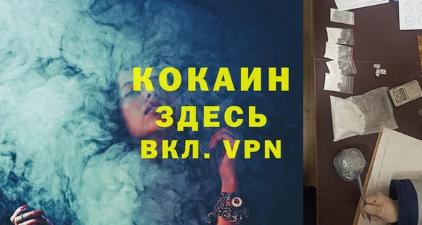 МДПВ Бородино
