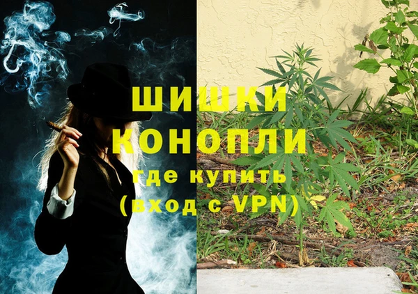 МДПВ Бородино