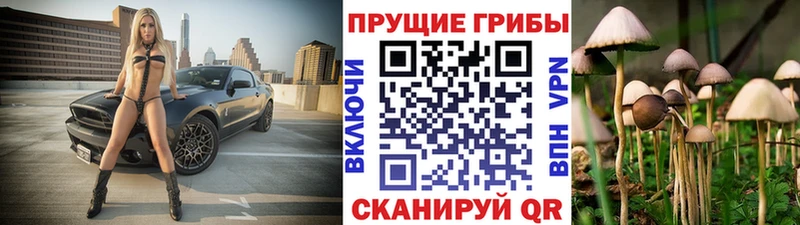 Галлюциногенные грибы MAGIC MUSHROOMS  Ярославль 